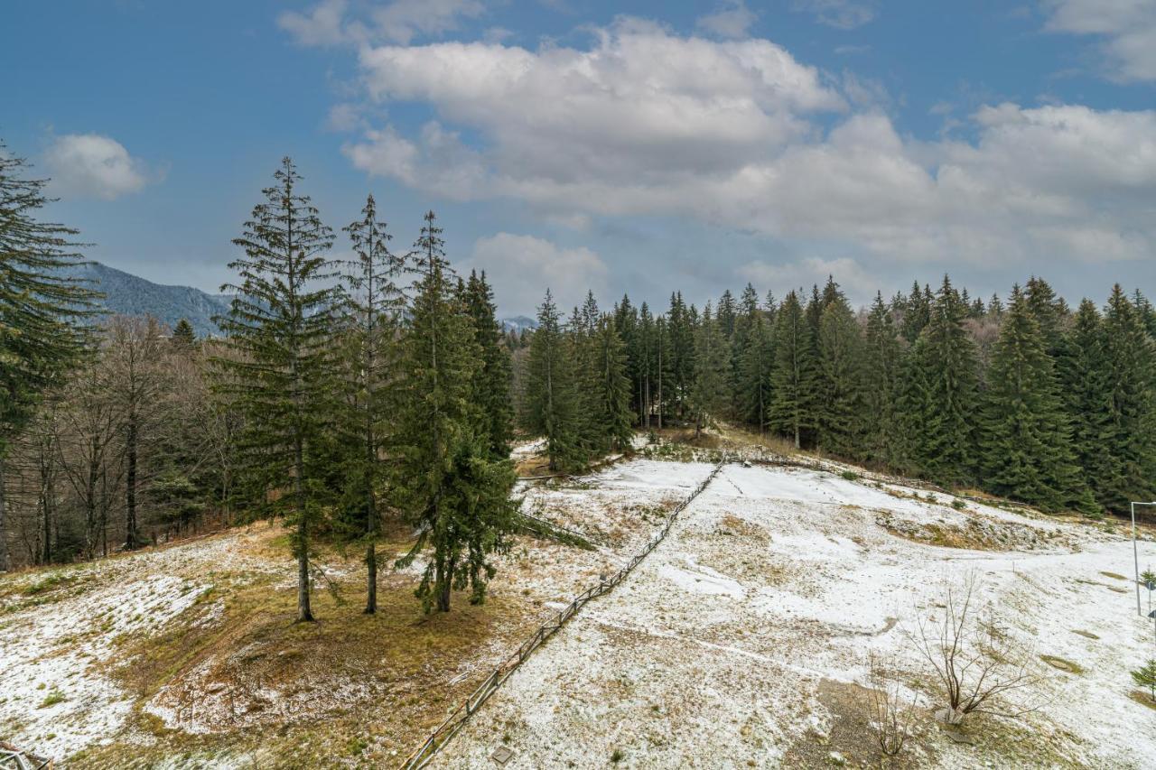 Ambient Apartment In Silver Montain - Poiana Brasov Exterior photo